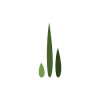 Seae Ventures